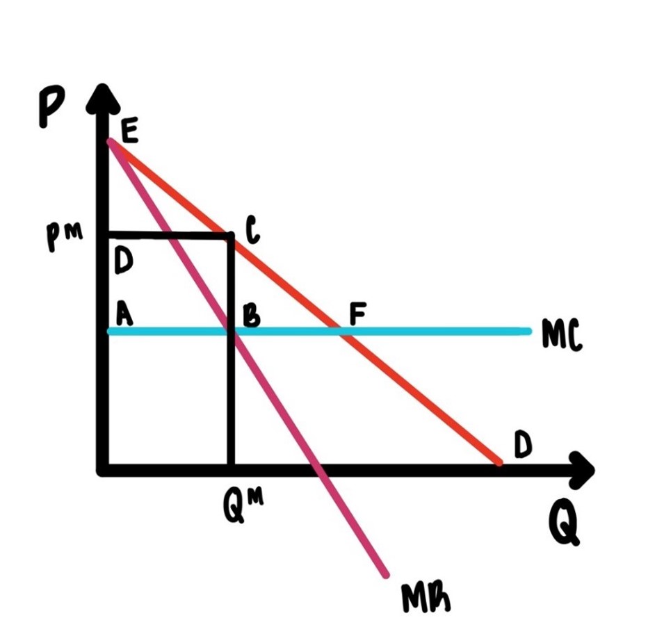 Profit maximization by a monopolist