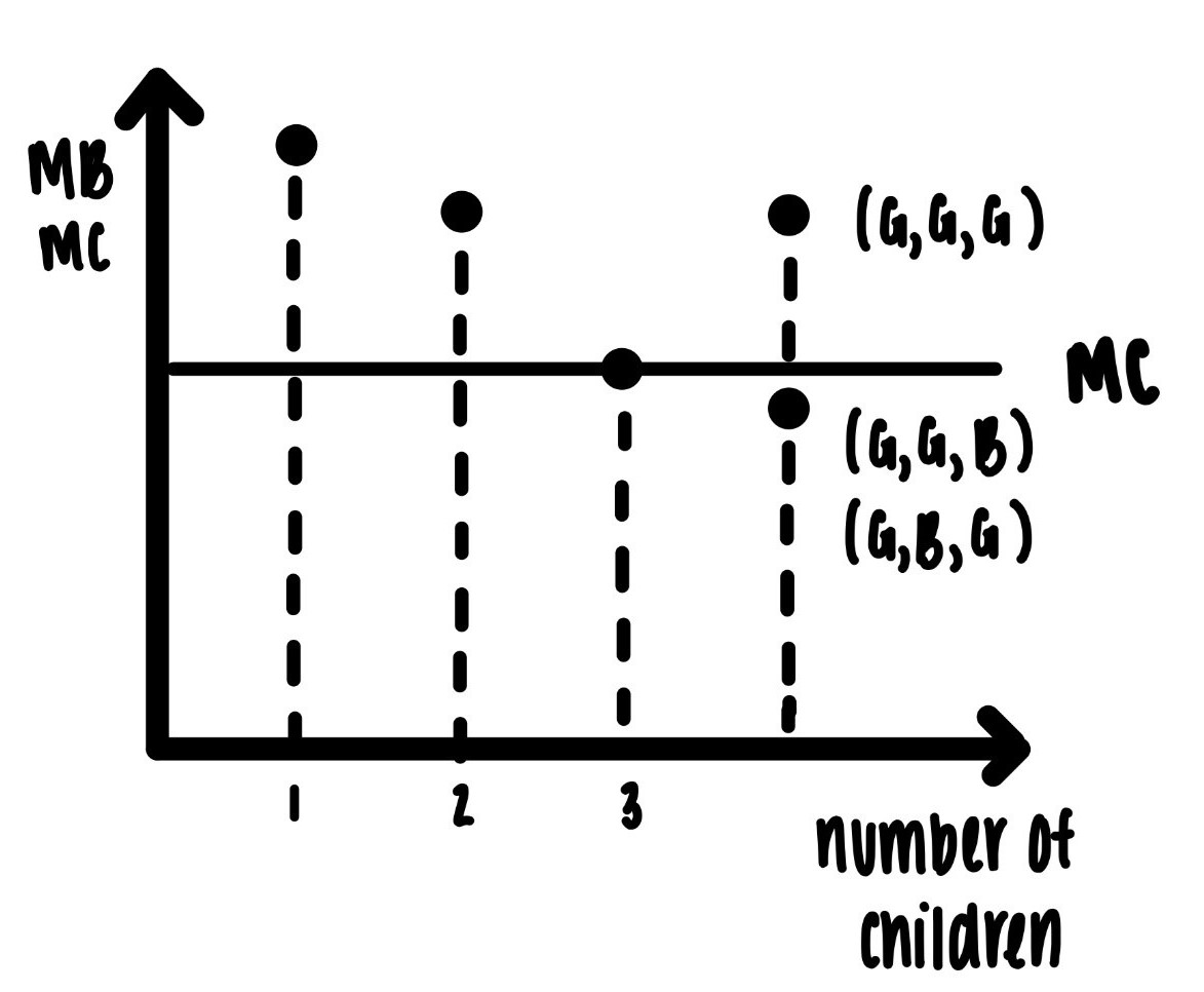 Optimal fertility